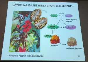 Plakat Użycie najsilniejszej broni chemicznej