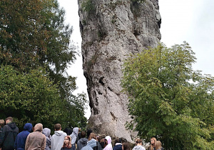 Zdjęcie 3 na 11