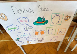 Zdjęcie 15 na 25
